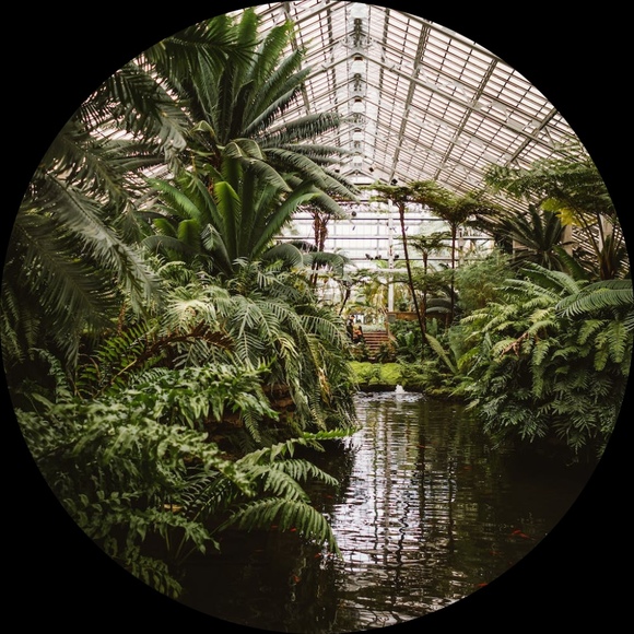 gardenmaximus